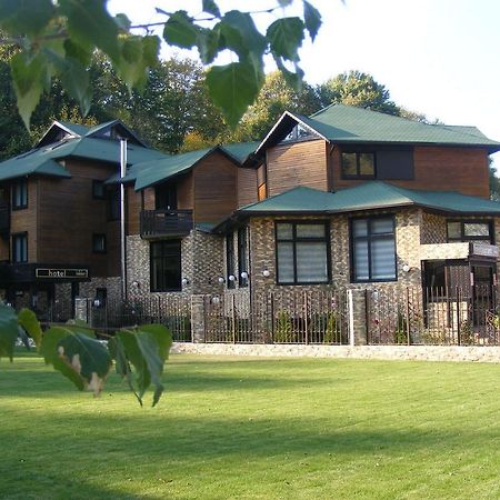 Hotel Hillden Lodge&Restaurant Drumu Carului المظهر الخارجي الصورة