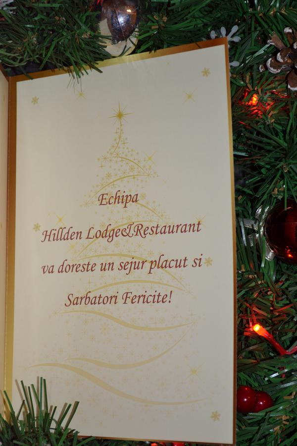 Hotel Hillden Lodge&Restaurant Drumu Carului المظهر الخارجي الصورة