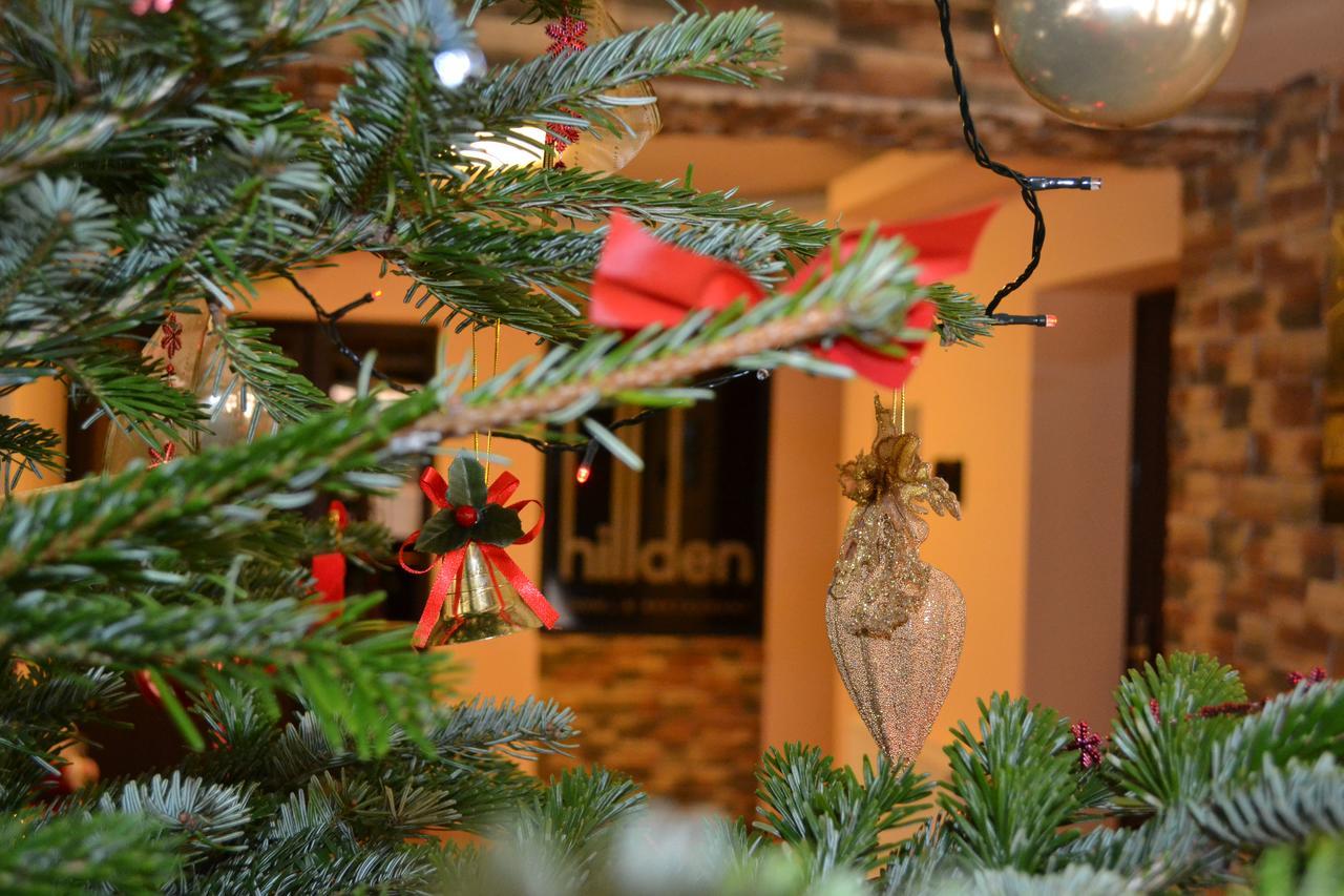 Hotel Hillden Lodge&Restaurant Drumu Carului المظهر الخارجي الصورة